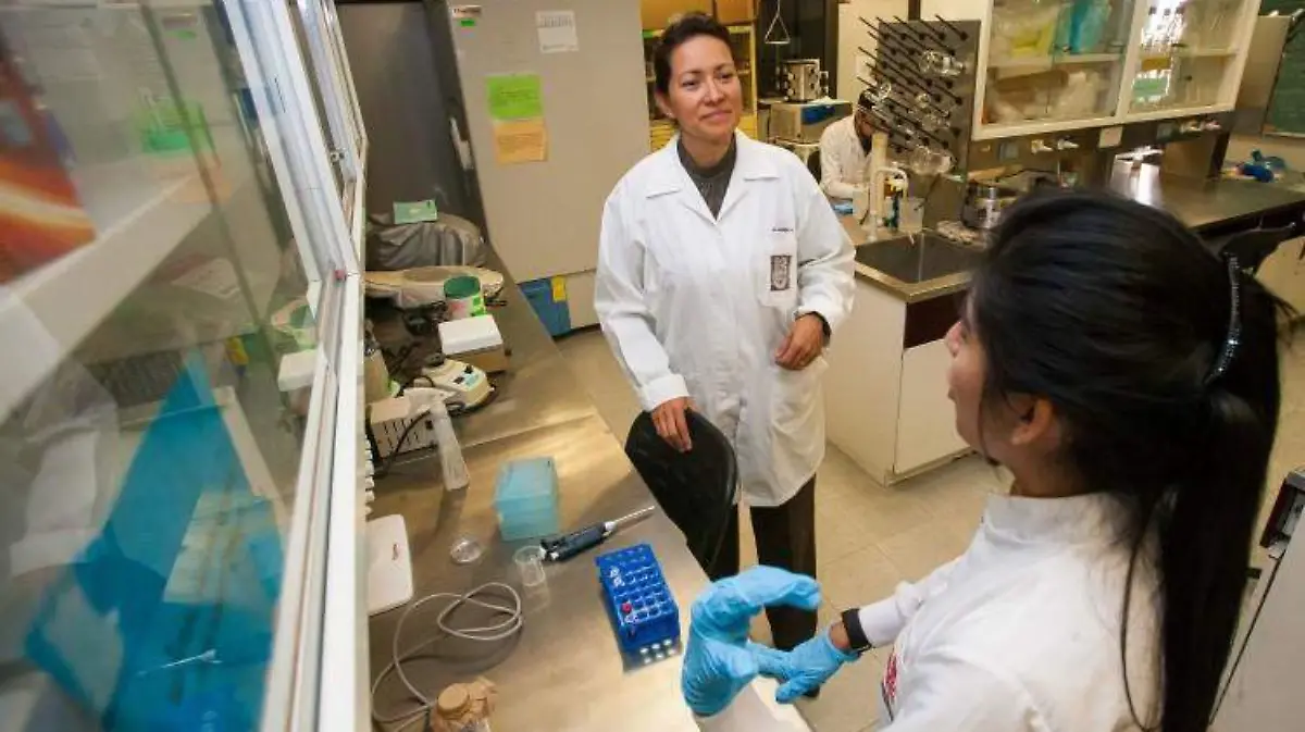 baja participación de mujeres en puestos de tecnología